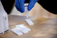 Gloved hand drops liquid onto test plate